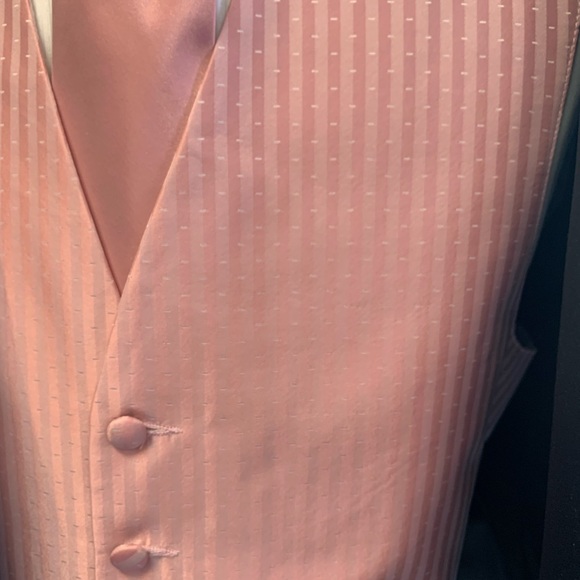 Vintage Pink Striped Long Tie and Vest Set - Picture 2 of 4